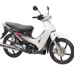 لاستیک ایران یاسا (PR4) 250/17 F